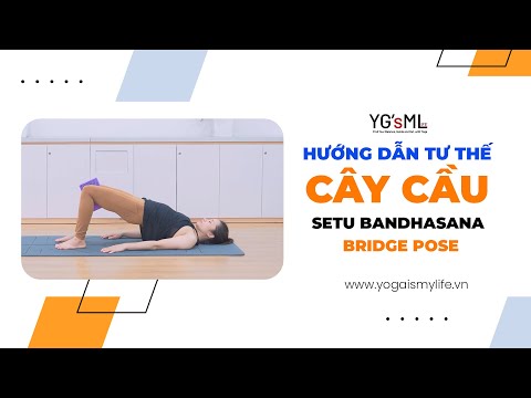 Video Yoga