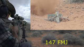 AR-10 308 balsitic advantage 147Gr out shot 168Gr AMAX? maybe me