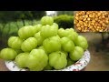 Fresh Star Gooseberry Recipe | Simple and Easy Recipe | VILLAGE FOOD