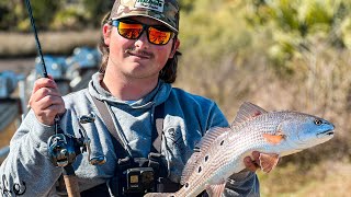 Catch 10x MORE Fish In Saltwater With THESE TIPS!
