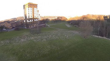 Emax250 cc3d rate mode