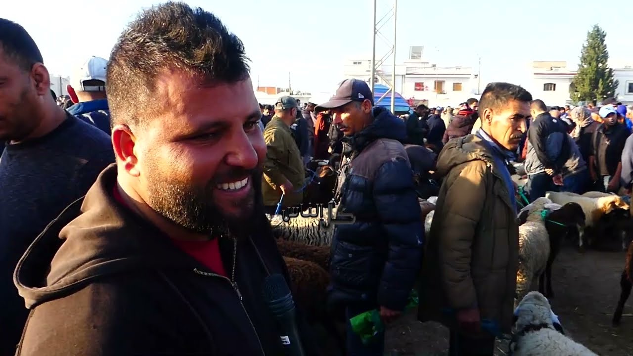 اسعار العلوش في الرحبة ، احنا كسابة و الغينى من عند ربي #اكسبلور #تونس #المهاجر #علوش #عيد #2025