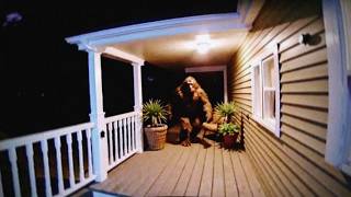 TERRIFYING Bigfoot Appears Out of Nowhere—Caught on Camera!