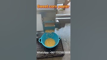 How to easily peel fresh corn kernels？🌽 Sweet corn peeler machine helps you solve the problem!