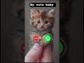 My Cute Baby Is Calling Me Ringtone Call Kitten Calling mp3