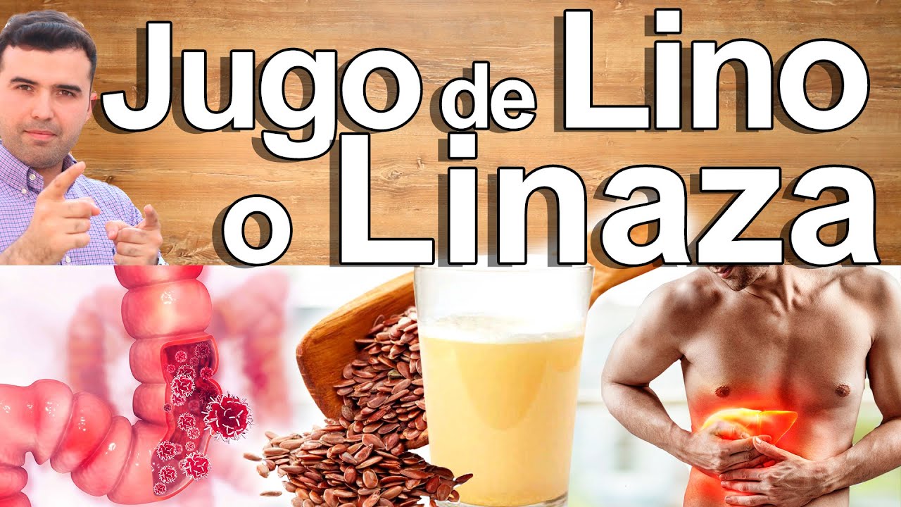 Jugo De Lino En Ayunas - Para Qu� Sirve La Linaza? - Beneficios Para Tu Salud Y Belleza
