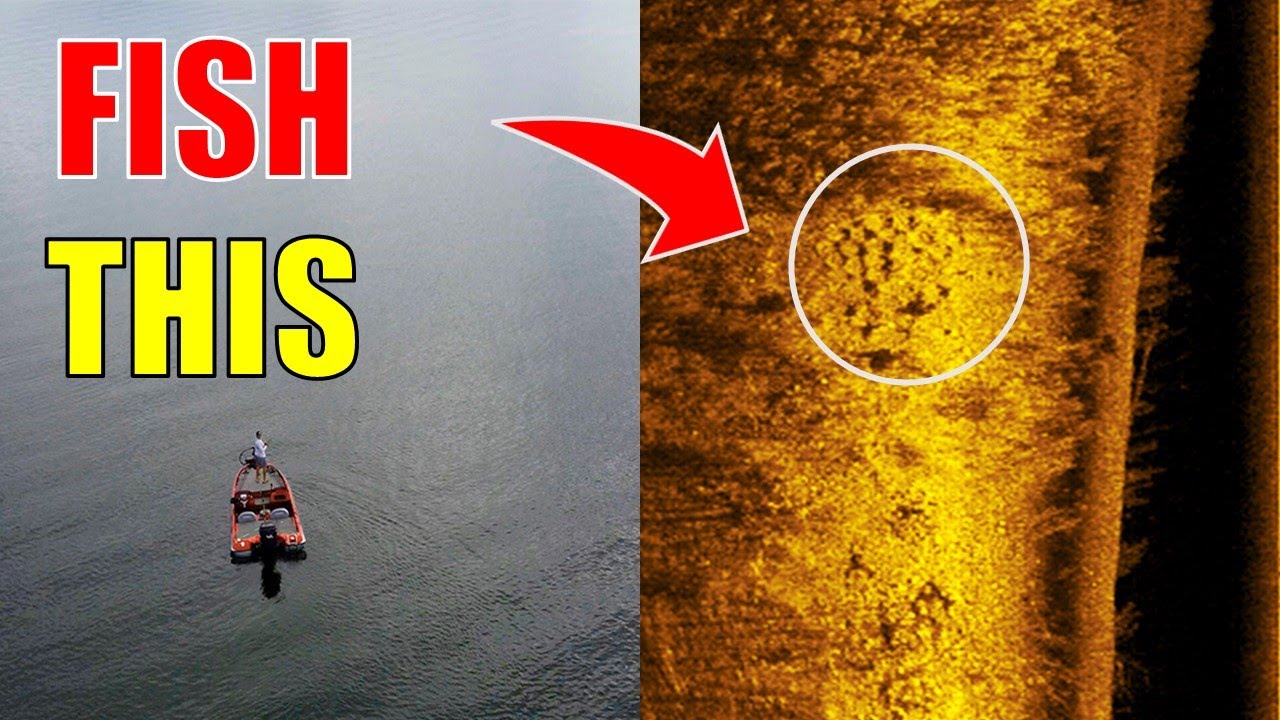 side scan explained Bass Manager The Best Bass Fishing Page On The