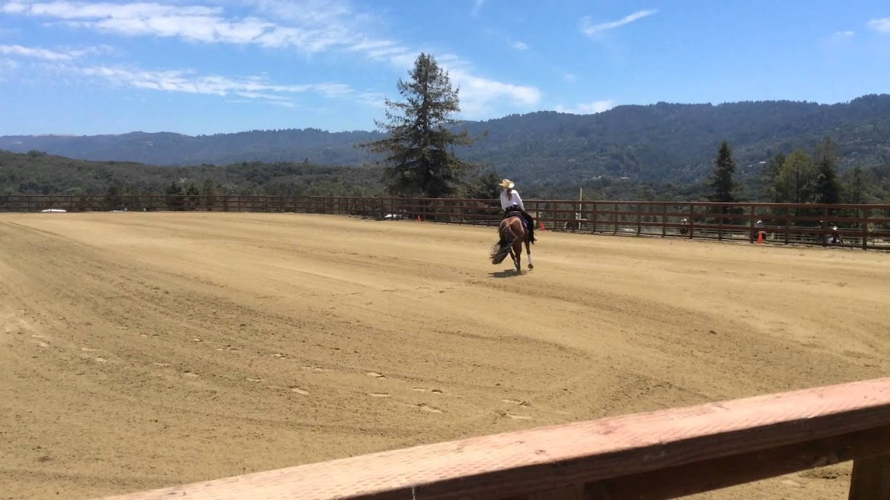 Millionchic & Hannah Warde - Reining by the Bay 2015 (Green as Grass Slate 1)