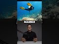 SORA 2 – The biggest breakthrough in AI video for beginners #shorts #videoai #qvid