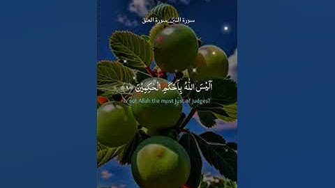 #قران_كريم #سورة_التين #سورة_العلق