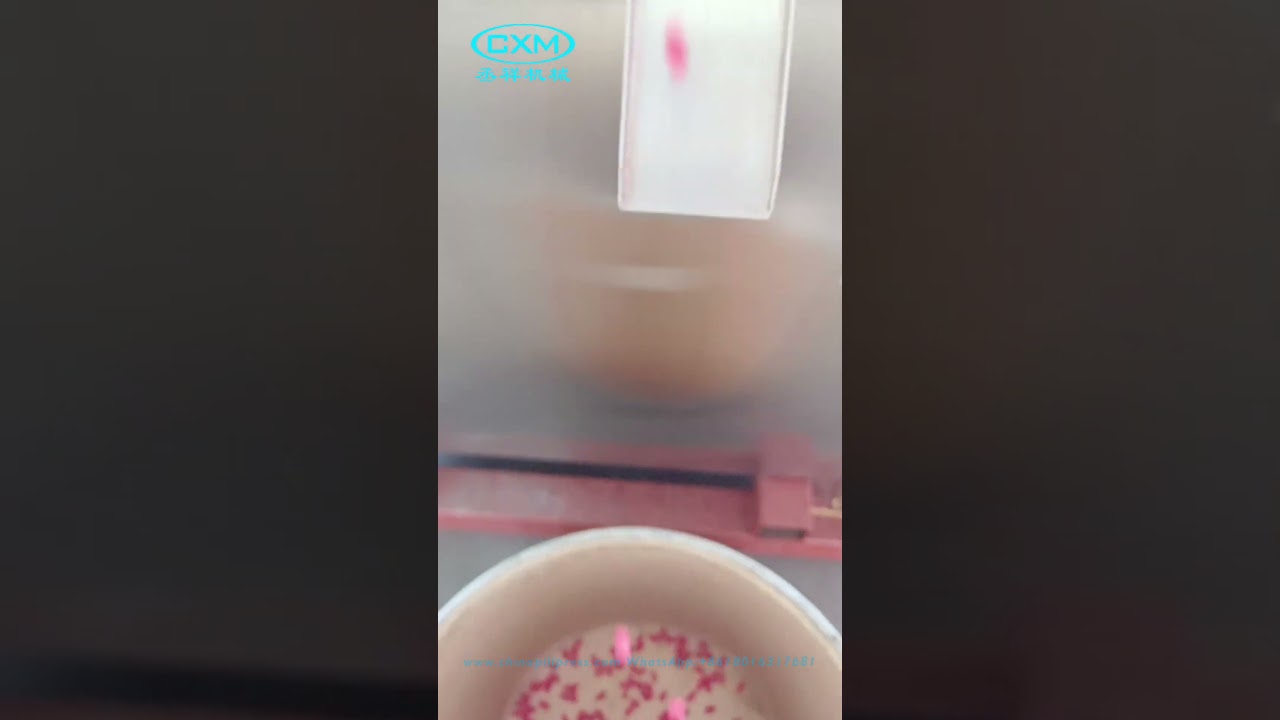 ZPW29D Rotary Tablet Press with IPT D tooling & force feeder, Tablet Compression Machine