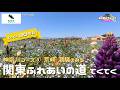 【散策】関東ふれあいの道 てくてく / 神奈川3 荒崎・潮騒のみち