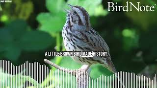 How An Ornithologist With A Microphone Made History