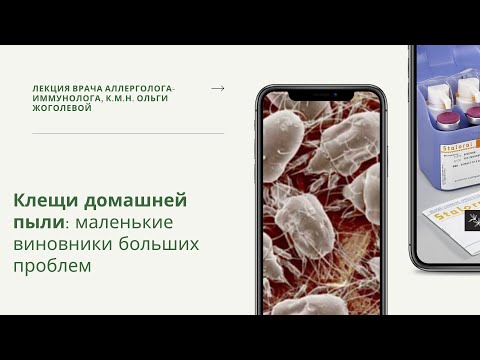 Вебинар "Клещи домашней пыли: маленькие виновники больших проблем"