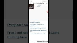Florida Python Challenge 2025: How many pythons were caught in annual hunt?
