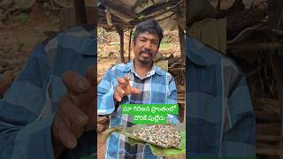 tribal peoples food "పుల్లేరు" #tribal #food #agency