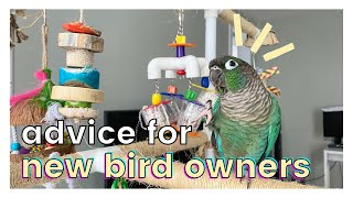 MY ADVICE TO NEW BIRD OWNERS