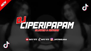 DJ CIPERIPAPAM VIRAL TIKTOK [SLOWED & REVERB]