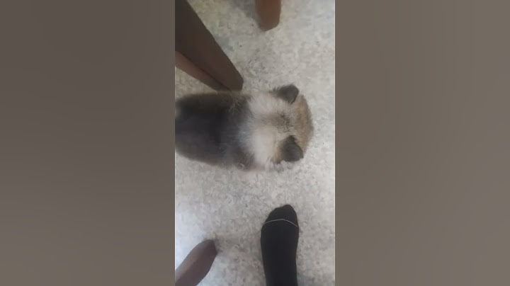 ЗОЛОТОЙ РЕБЁНОК🤣🤣🤣