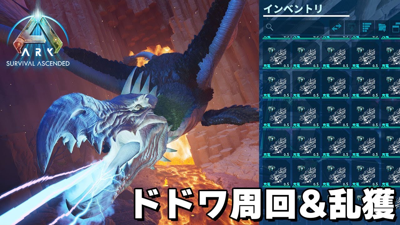 【ASA】ドードーワイバーン周回方法&高レベルゾンビワイバーンテイム【公式】