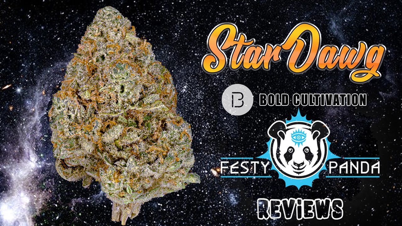 StarDawg Strain Review - BOLD Cultivation - FestyPanda Reviews