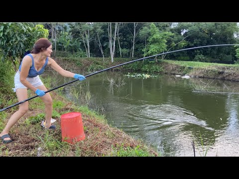 With a simple bait, the girl caught many big fish @Nhien aly - YouTube