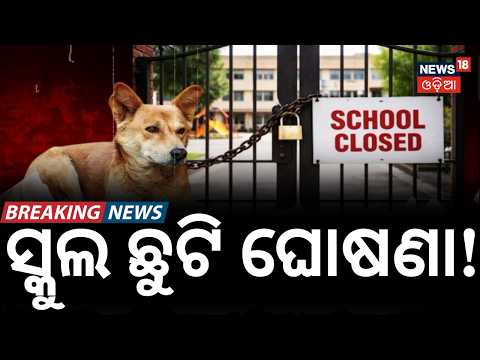 ଭୟରେ ଛାତ୍ରଛାତ୍ରୀ Stray Dog Terror: 10 Schools Shut Down for 4 Days in Uttarakhand! N18V