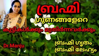 കുട്ടികൾക്കും മുതിർന്നവർക്കും ബ്രഹ്മി/Health Benifits of brahmi plant/water hyssop/Brahmi malayalam