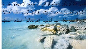 سورة المائدة * بصوت علي الحذيفي