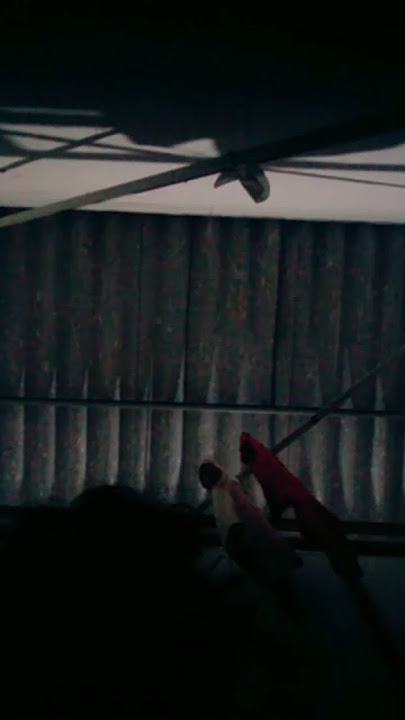 Download lagu 9 September 2024