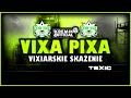 VIXA PIXA - VIXIARSKIE SKAŻENIE 2023/2024 ❤️🎵 (SYLWESTROWY MIX)