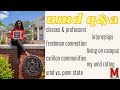 Answering Your Questions About the UNIVERSITY OF MARYLAND, COLLEGE PARK| UMD Q&A| UMD TIPS & ADVICE