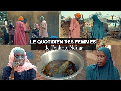 Report: The difficult daily life of the women of Tenkoto Nding...