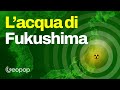 L'acqua di Fukushima - tanta disinformazione. Facciamo chiarezza con l'Avvocato dell'Atomo