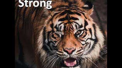Rise Strong - How to bounce back from any situation (Motivational Video)