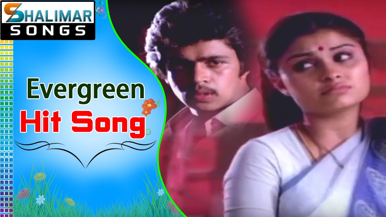 Evergreen Hit Song of the day || Rani Ranamma Video Song || shalimarcinema  - YouTube