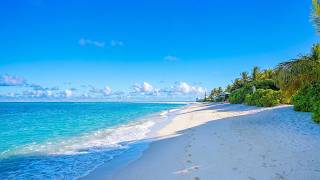 Paradise Found: Ocean and Wild Beach! Maldives 4K ULTRA HD