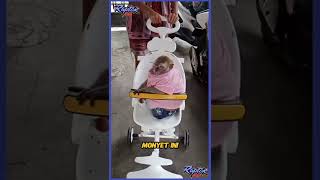 Mopi Gemoy Si Monyet Lucu Di Dunia シ