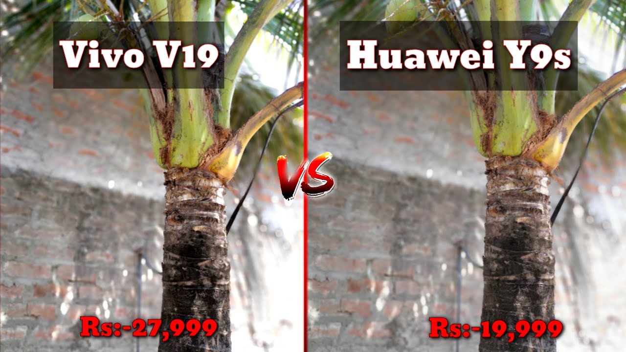 Huawei Y9s VS Vivo V19 Camera Test || Which is Best Camera Vivo V19 VS Huawei Y9s || 2020