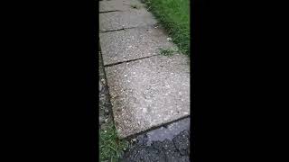 ASMR. Raindrop Sounds on Pavement #Shorts #asmrrelaxation