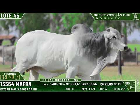LOTE 46