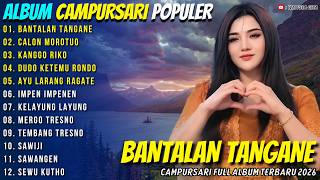 Download lagu Album Intan Mandasari - BANTALAN TANGANE - CALON MOROTUO - Wangsa Gita Campursari Terbaru 2026