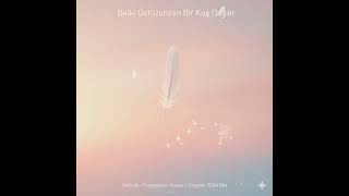 Yüksek Sadakat - Belki Üstümüzden Bir Kuş Geçer (Melodic Progressive House Organic Edm)