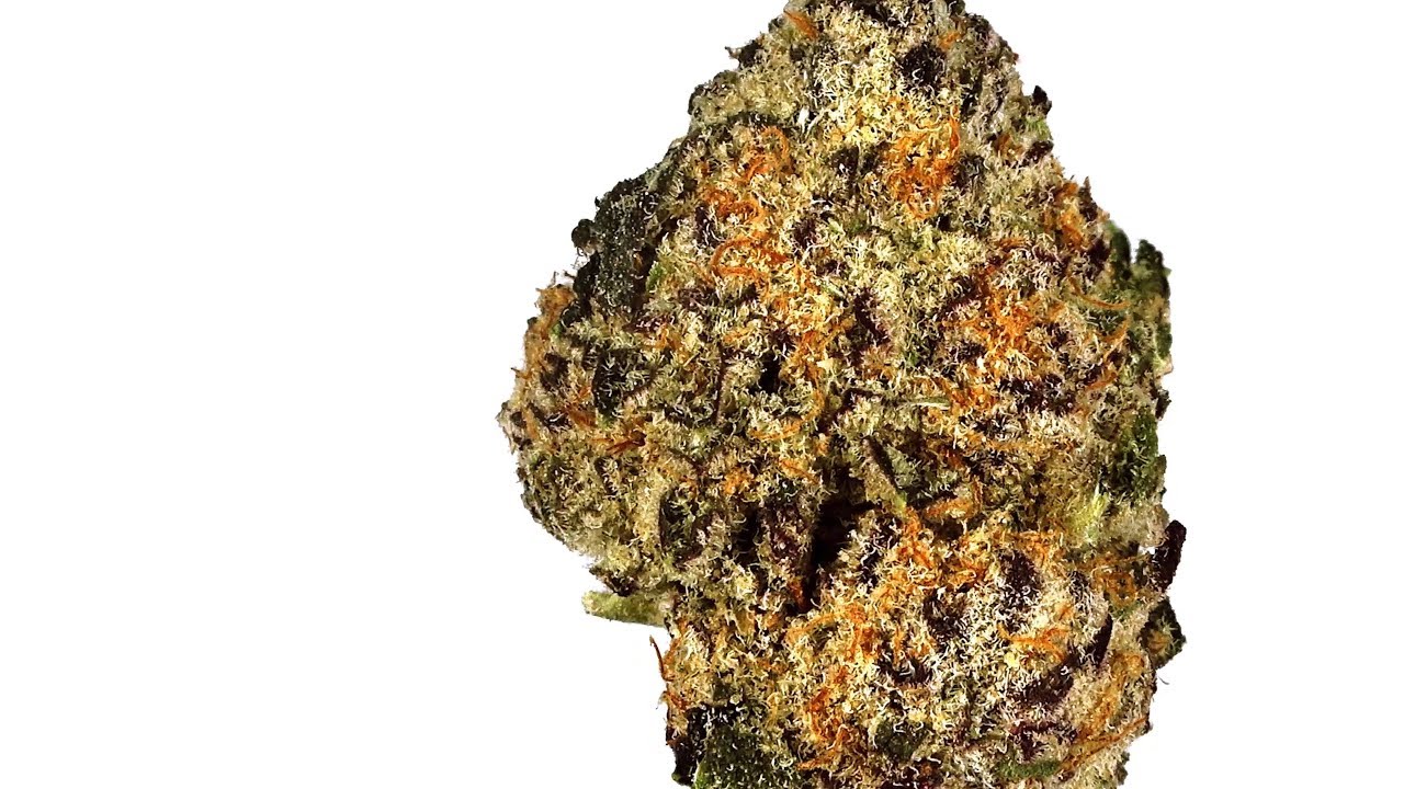 Grape Punch | Strain Review