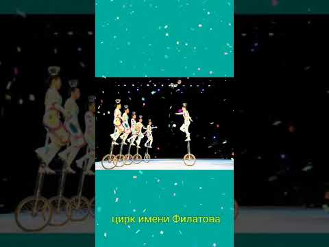 Video: Jekaterinburški cirkus: program, ocene