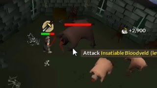 Runescape [2007]: Obtaining the Mist Bstaff on my Ironman I Live Reaction I Borrow Iron