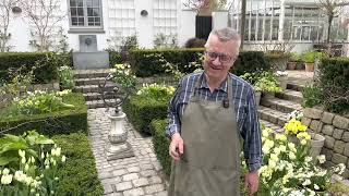 Celebrity How to build up a garden room with tulips and daffodils Net Worth