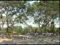 Now Song Myo Gyi Nay Ma Win A Chit YouTube Now Song Myo Gyi Nay Ma Win A Chit YouTube