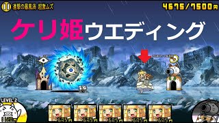 にゃんこ大戦争 ケリ姫ウエディング 超激レアはいらない 緊急爆風警報 進擊の暴風渦 攻略 にゃんこ大戦争動画速報
