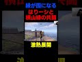 【ニコニコ老人会rust】横山緑と共闘するはりーシ【2025/7/27】